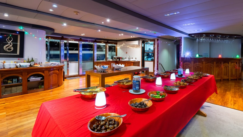 Diving in the heart of the Maldives: 8 days among paradise atolls, manta rays, whale sharks, and marine treasures