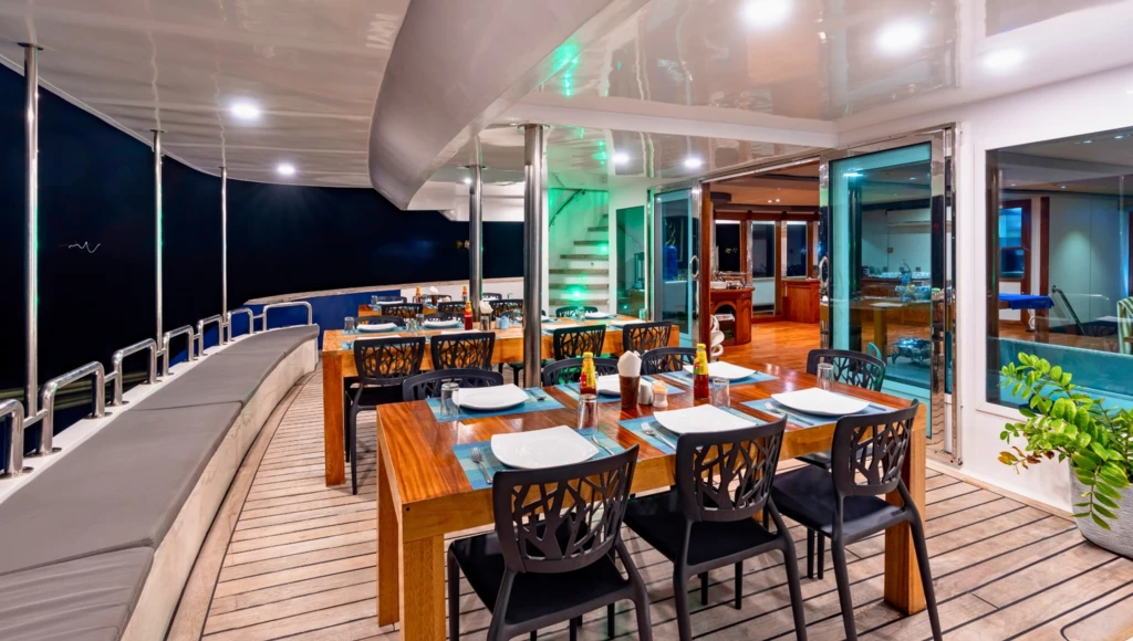 Diving in the heart of the Maldives: 8 days among paradise atolls, manta rays, whale sharks, and marine treasures