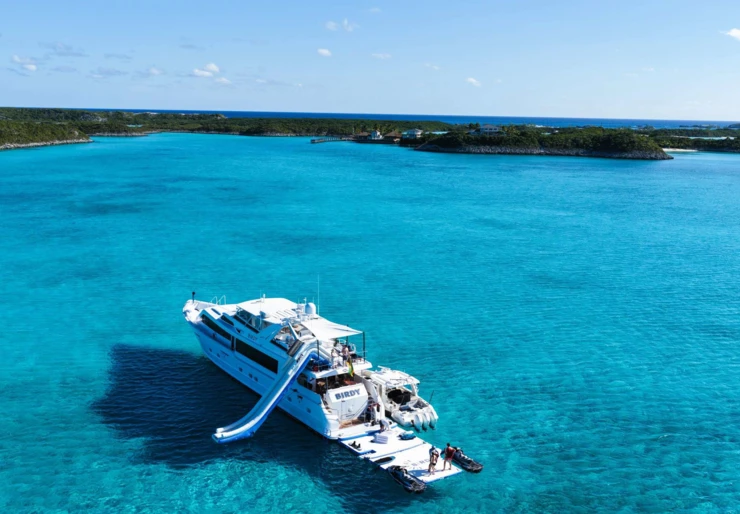 Birdy Bahamas | BIRDY