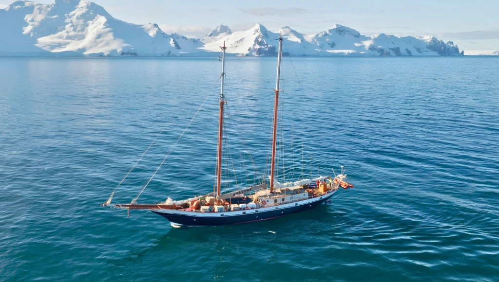 Expédition en goélette de 13 jours au départ de Punta Arenas : canal de Lemaire, îles Shetland du Sud et faune polaire de la péninsule Antarctique