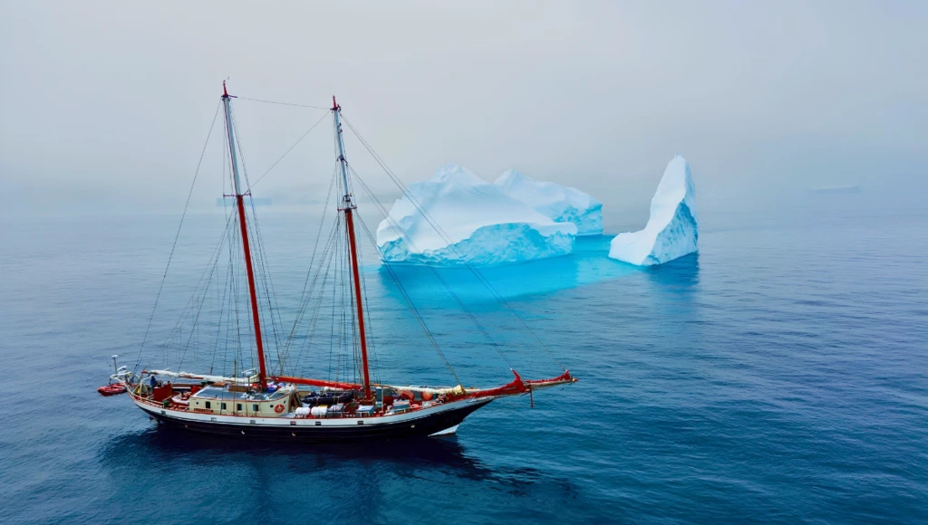 Expédition en goélette de 13 jours au départ de Punta Arenas : canal de Lemaire, îles Shetland du Sud et faune polaire de la péninsule Antarctique