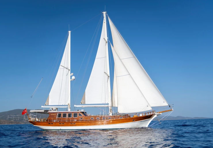 Aganippe Puerto de Fethiye | Aganippe