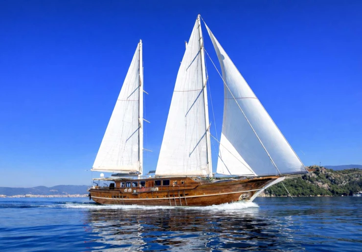 Oxyzen Zea Marina | OXYZEN