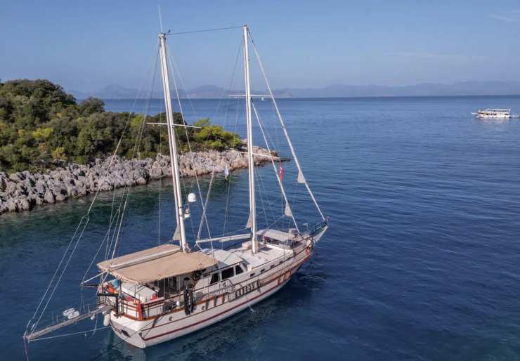 Junior Tarkan Puerto de Fethiye | Junior Tarkan