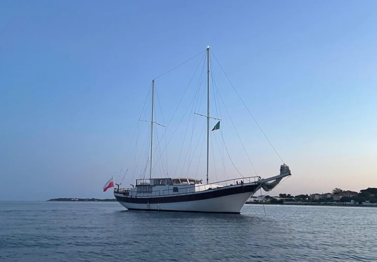 Momo Carloforte | MOMO