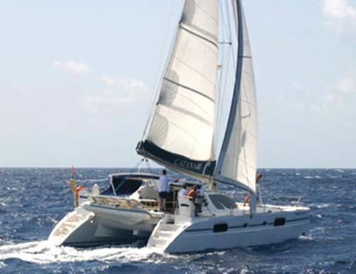 Catana 431