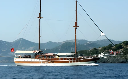 Delfin VI