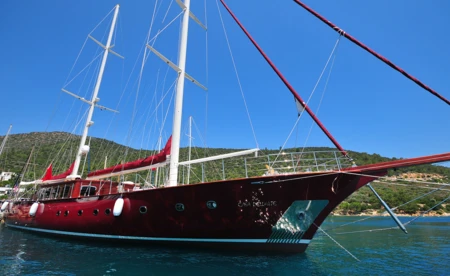 M/S Casa Dell Arte II