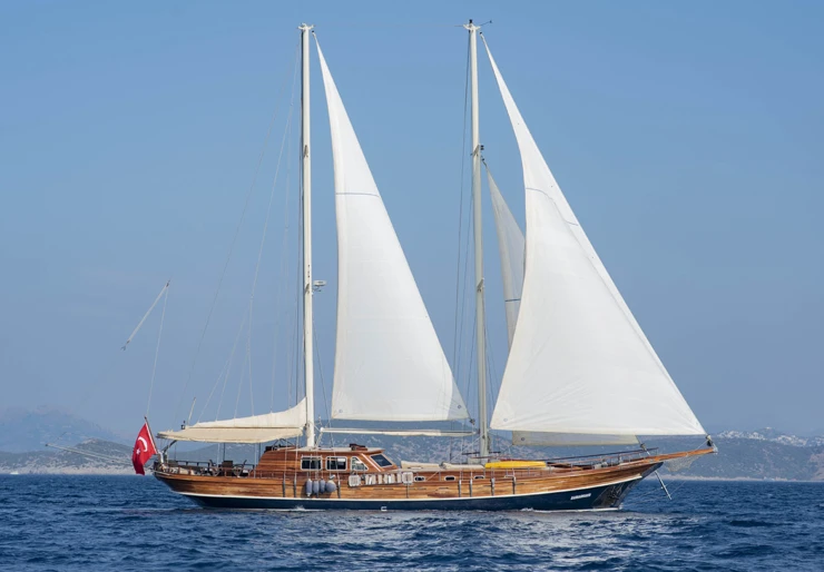 M/S Samarkand Turkey | SAMARKAND