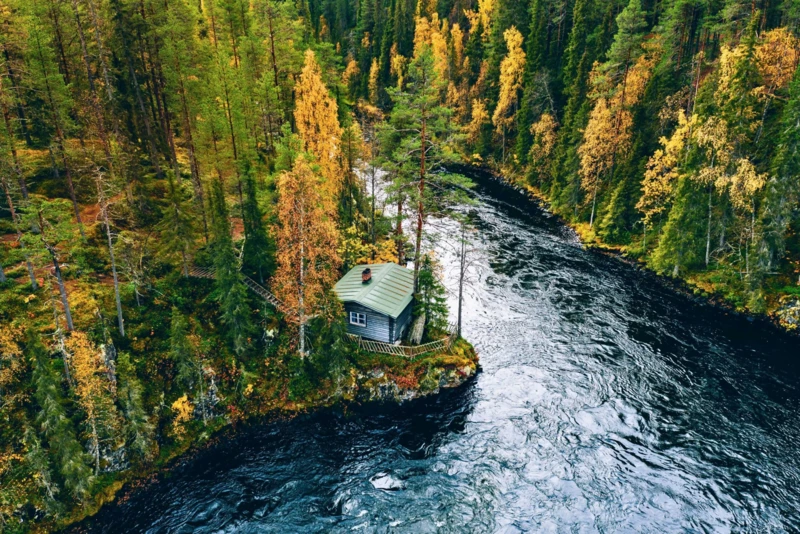 Les couleurs flamboyantes du Ruska en Laponie