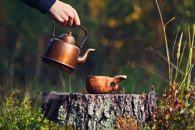 Saveurs lapones autour du feu