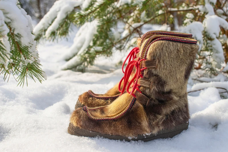 Immersion dans la culture Sámi