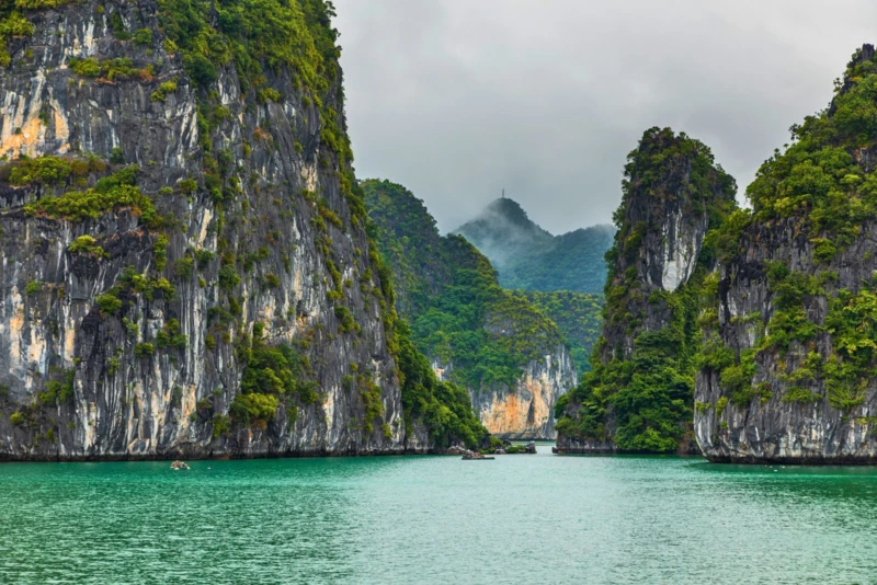 Rizières et reliefs verdoyants du nord du Vietnam
