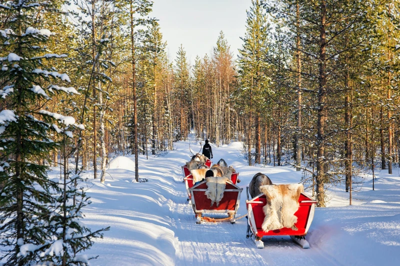 Aventure et détente au cœur de l’hiver finlandais