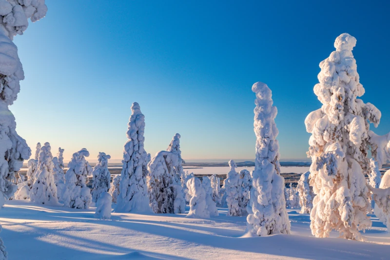 Évasion dans un écrin de nature préservée