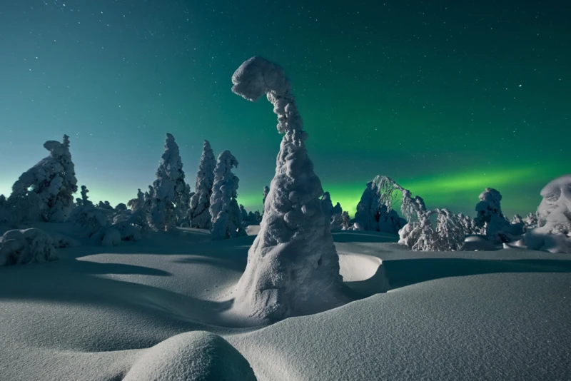 Au cœur des forêts enchantées de Laponie