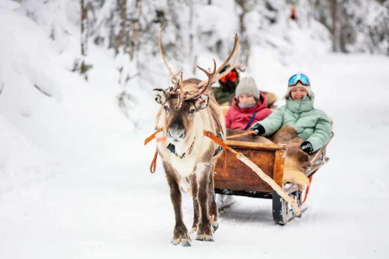 Évasion hivernale en famille