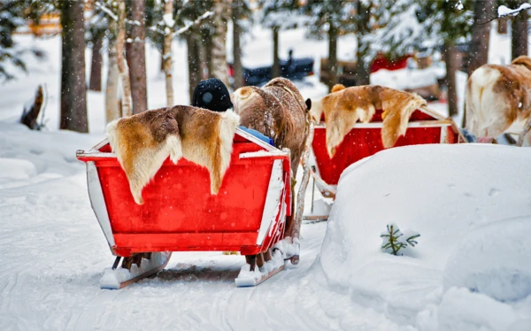Rovaniemi
