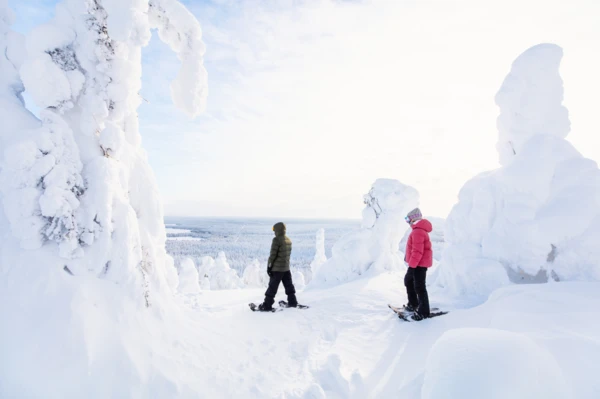 Rovaniemi