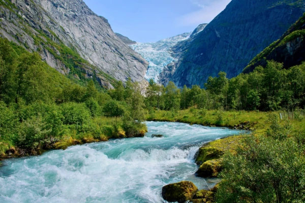 Marifjora