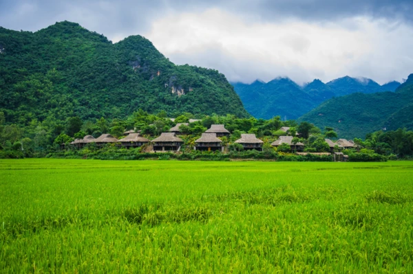 Mai Chau