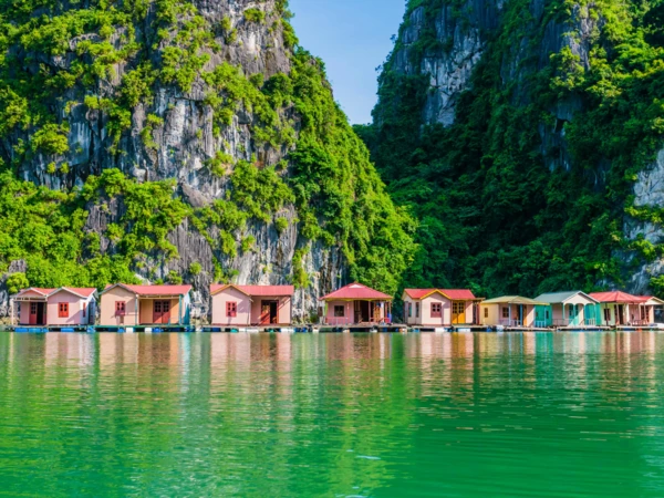 Bai Tu Long