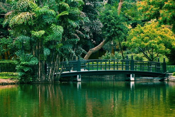 Hô Chi Minh