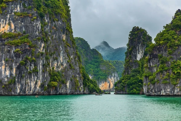 Bai Tu Long