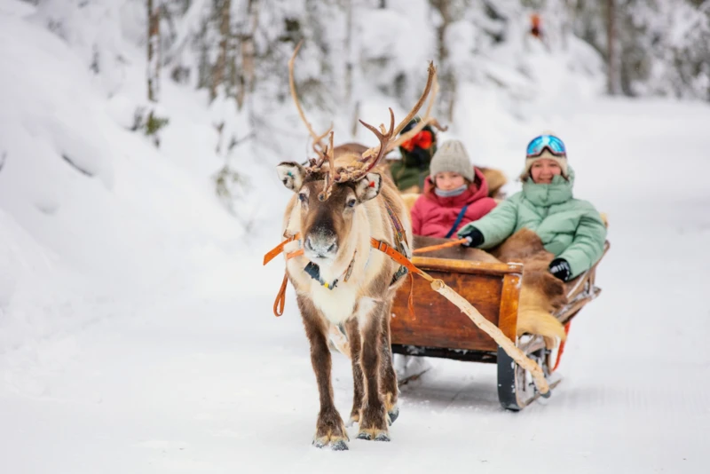 Laponie en famille : neige, rennes et aurores