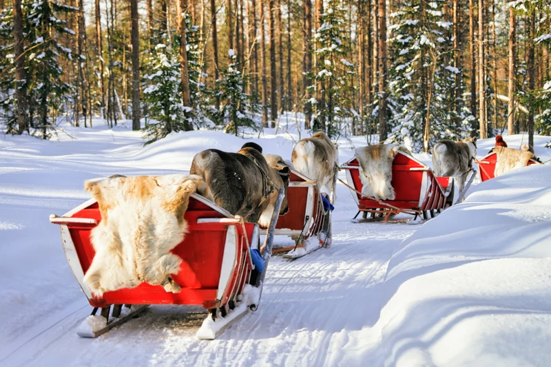 Laponie finlandaise, l’authenticité du Grand Nord