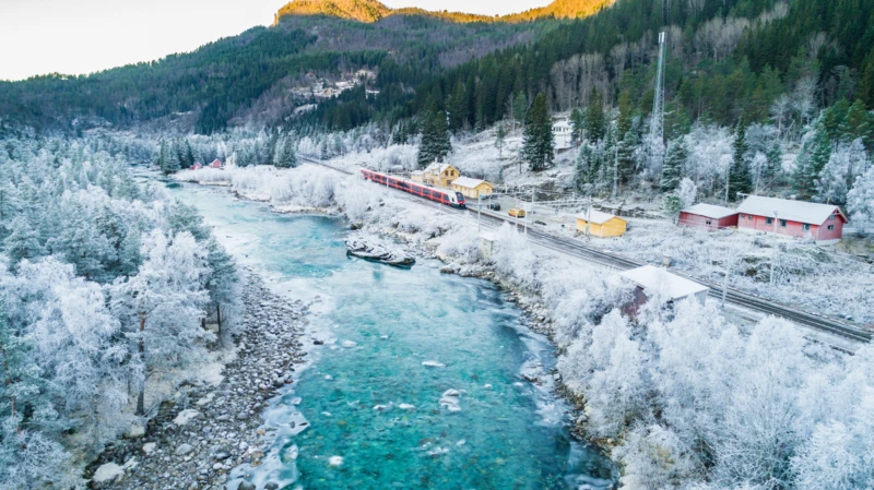 La magie des fjords norvégiens en train et en bateau - photo 3