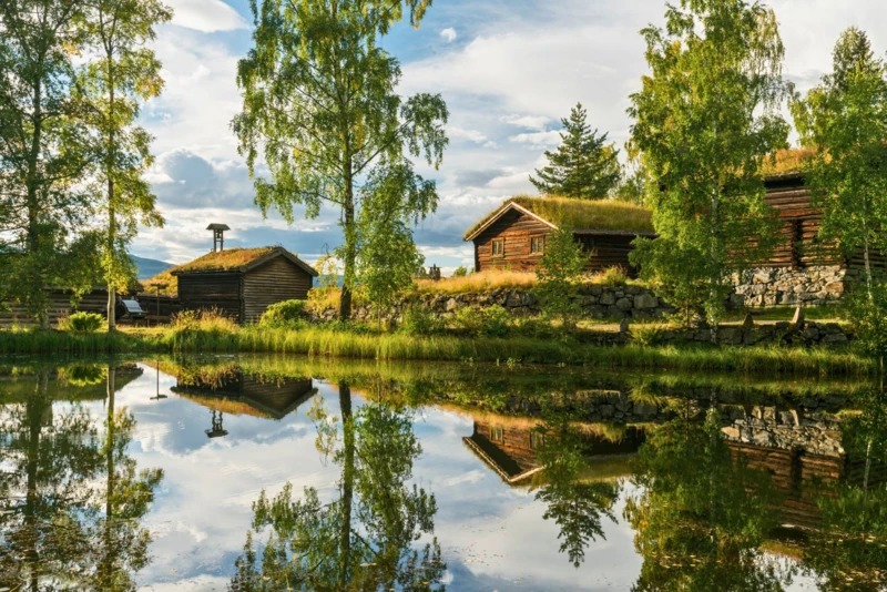 Douceur estivale au cœur de la Norvège - photo 5